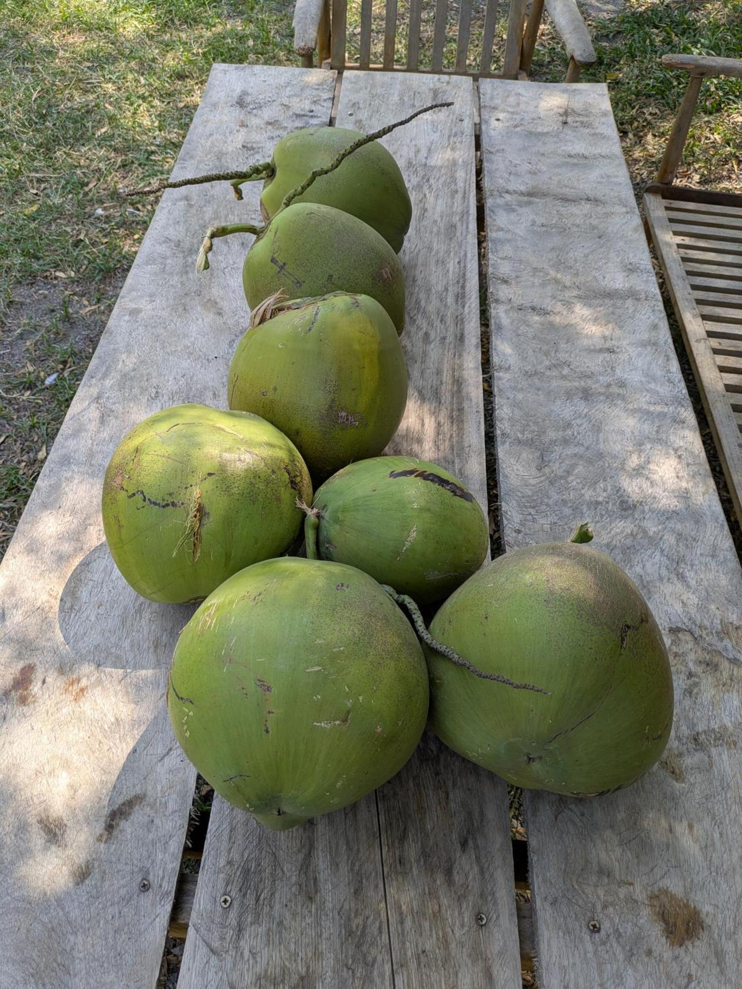Coconut Lodge Kampot Exterior foto